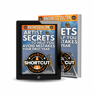 Artist Secrets To Help You Avoid Mistakes Your First Year
