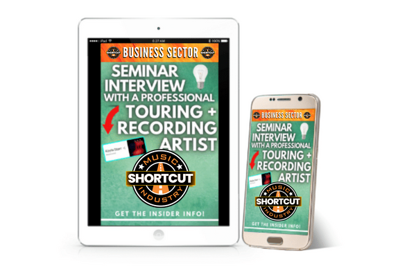 Seminar Interview With A Professional Touring + Recording Artist (Membership Course)