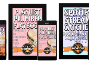 YouTube Ads For Serious Music Artists Masterclass (Bundle)